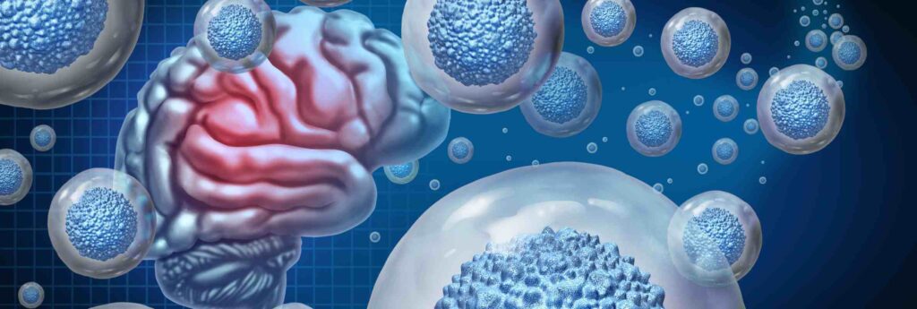 What Makes a Good Stem Cell Clinic?