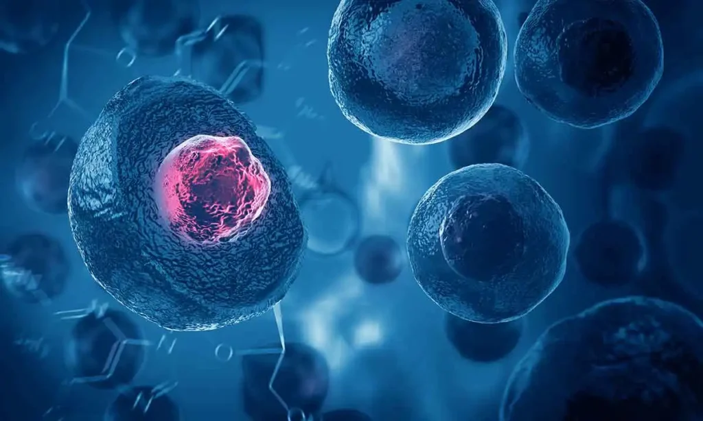 cancer stem cell therapy