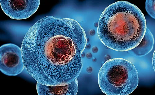 Stem Cell Therapies in Southeast Asia