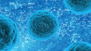 How Stem Cell Therapy Works