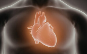 Stem Cell Treatments for Parkinson’s Disease and Heart Failure