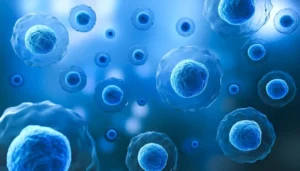 Understanding Risks and Safety Measures in Stem Cell Treatment