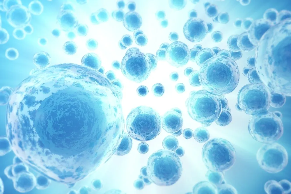 stem cell clinic malaysia