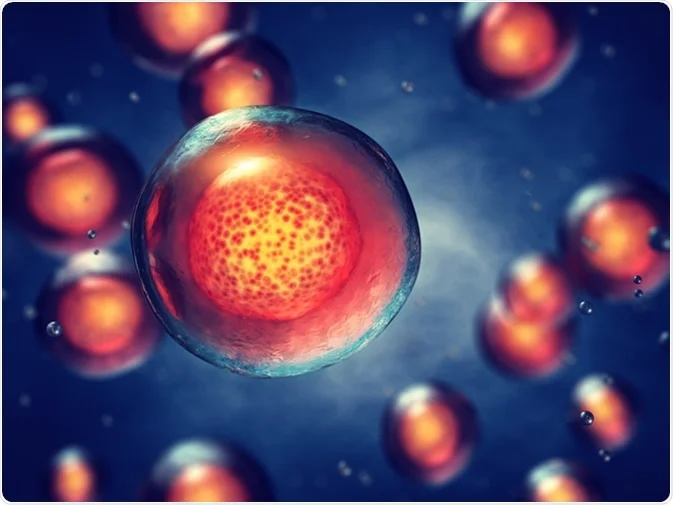 Stem Cell Treatment for Arthritis