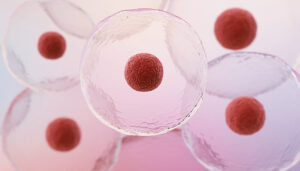stgem cell therapy regenerative treatment