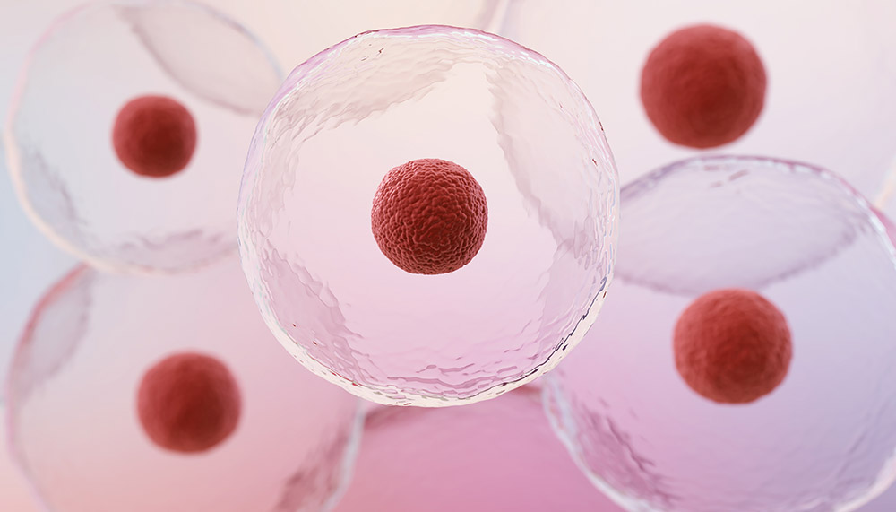 stgem cell therapy regenerative treatment