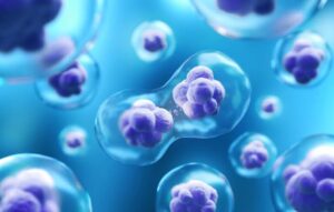 stem cell company malaysia