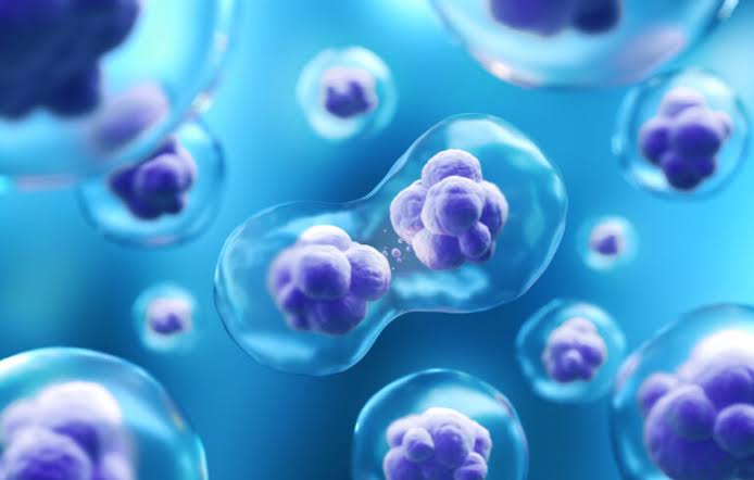 stem cell company malaysia