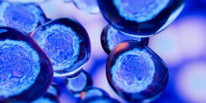 stem cell treatment options