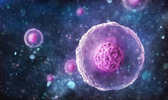 personalised stem cell treatment