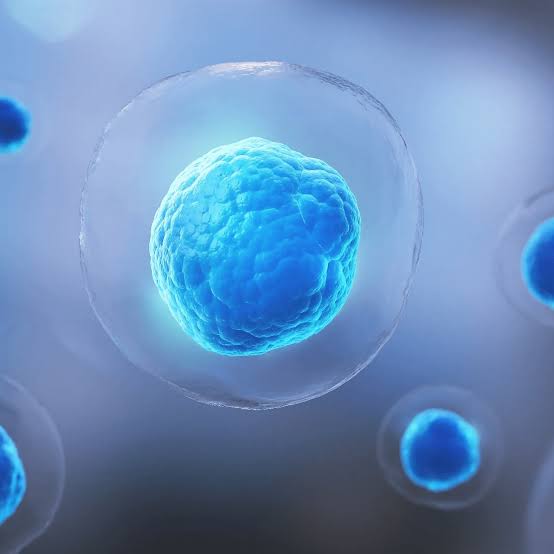 stem cell therapy treatment plan
