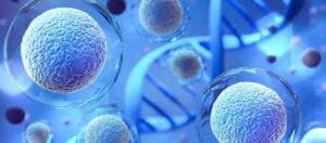 Stem Cell Therapy Assessment
